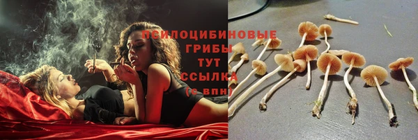 Альфа ПВП Аркадак
