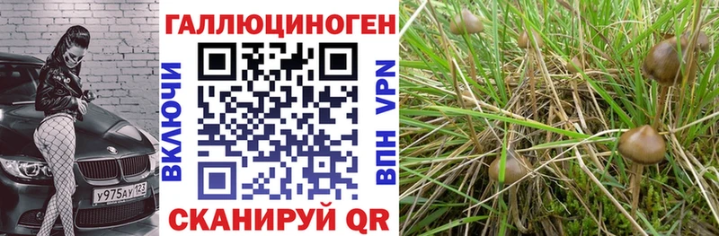 Псилоцибиновые грибы Magic Shrooms  omg как войти  Верея 